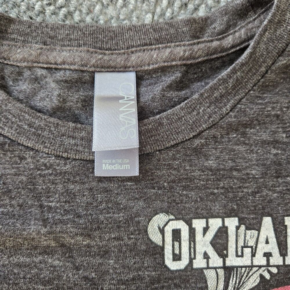 Vintage Oklahoma Sooners 2010 Big 12 Champions T-Shirt Last Game Vs Nebraska M - Picture 3 of 7